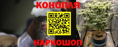 шишки Ипатово