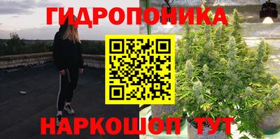 jwh Кандалакша
